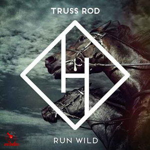 (Run Wild (Remix