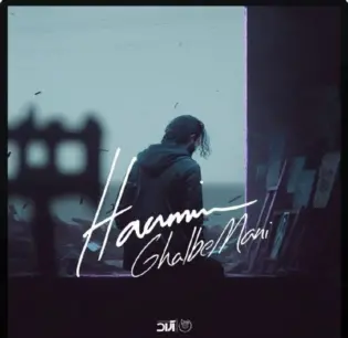 Haamim - Ghalbe Mani هامیم - قلب منی