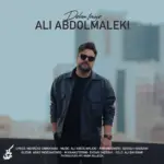 Ali Abdolmaleki - Delam Tange علی عبدالمالکی - دلم تنگه