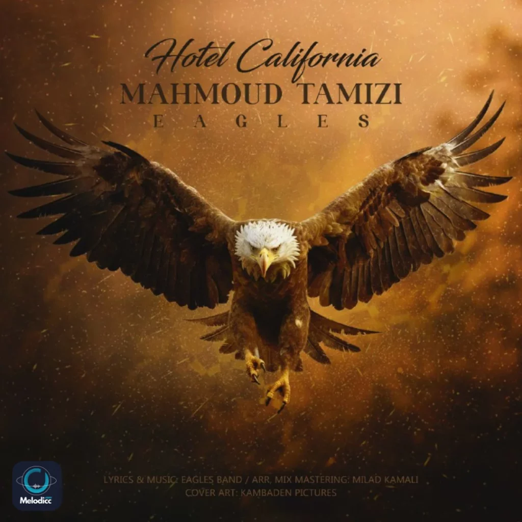 Mahmoud Tamizi - Hotel California