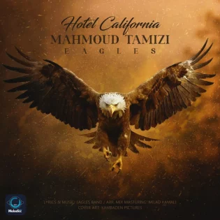 Mahmoud Tamizi - Hotel California