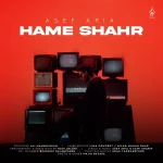 Asef Aria - Hame Shahr آصف آریا - همه شهر