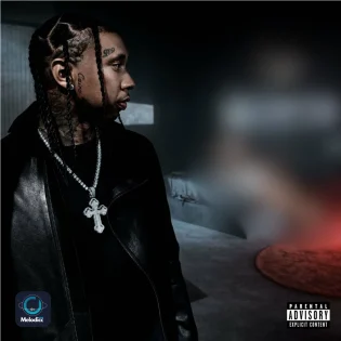 Tyga Ft Lil Wayne - Pop It Off